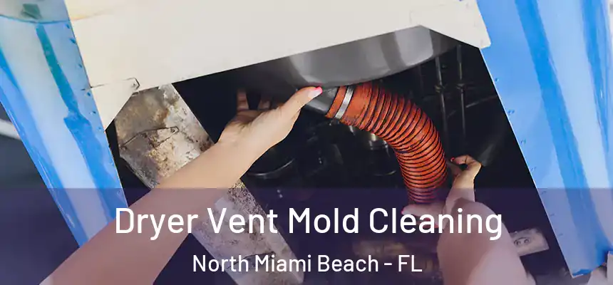 Dryer Vent Mold Cleaning North Miami Beach - FL
