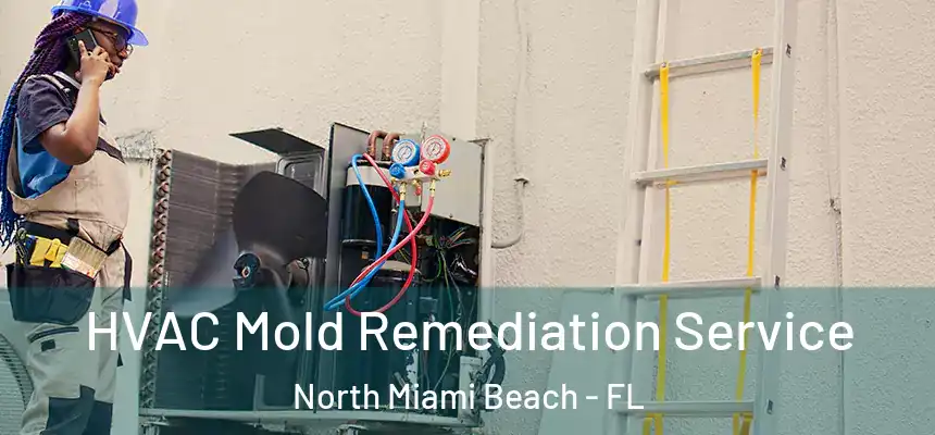 HVAC Mold Remediation Service North Miami Beach - FL