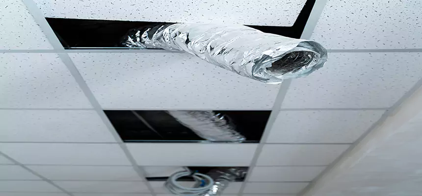 Our Air Duct Pet Hair Removal Services in North Miami Beach, FL