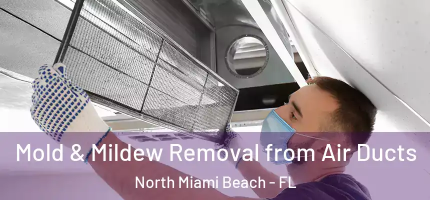 Mold & Mildew Removal from Air Ducts North Miami Beach - FL
