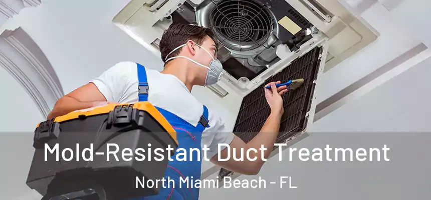  Mold-Resistant Duct Treatment North Miami Beach - FL