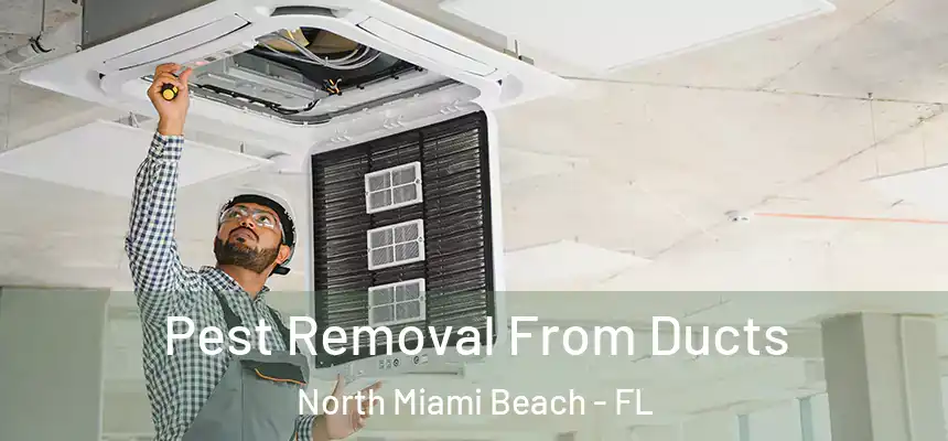 Pest Removal From Ducts North Miami Beach - FL