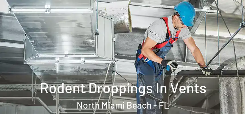Rodent Droppings In Vents North Miami Beach - FL