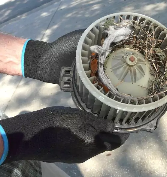 About Air Duct Rat Removal in North Miami Beach, FL