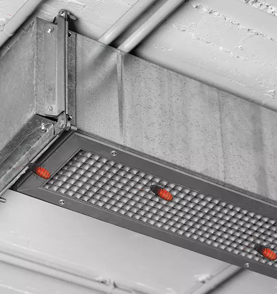 Affordable Insect Removal from Air Ducts in North Miami Beach, FL