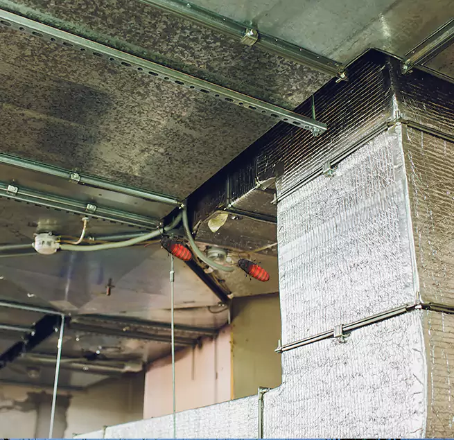 Why Homeowners & Businesses Trust Us in North Miami Beach, FL?