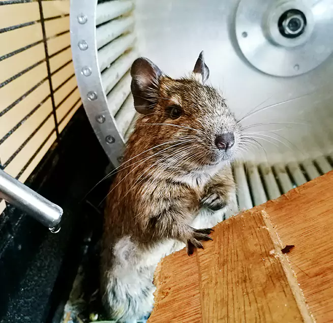 Why Homeowners & Businesses Trust Us North Miami Beach, FL