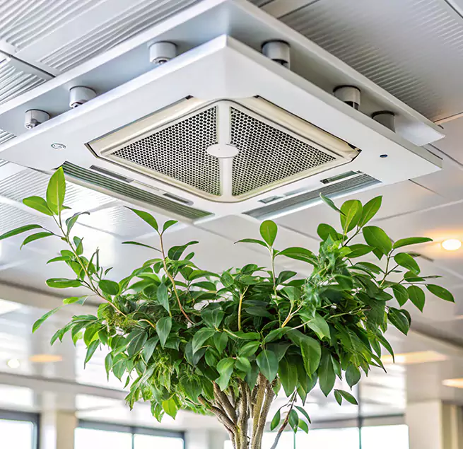 Why Homeowners & Businesses Trust Us in North Miami Beach, FL?